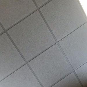 Meet your Posher, Colton